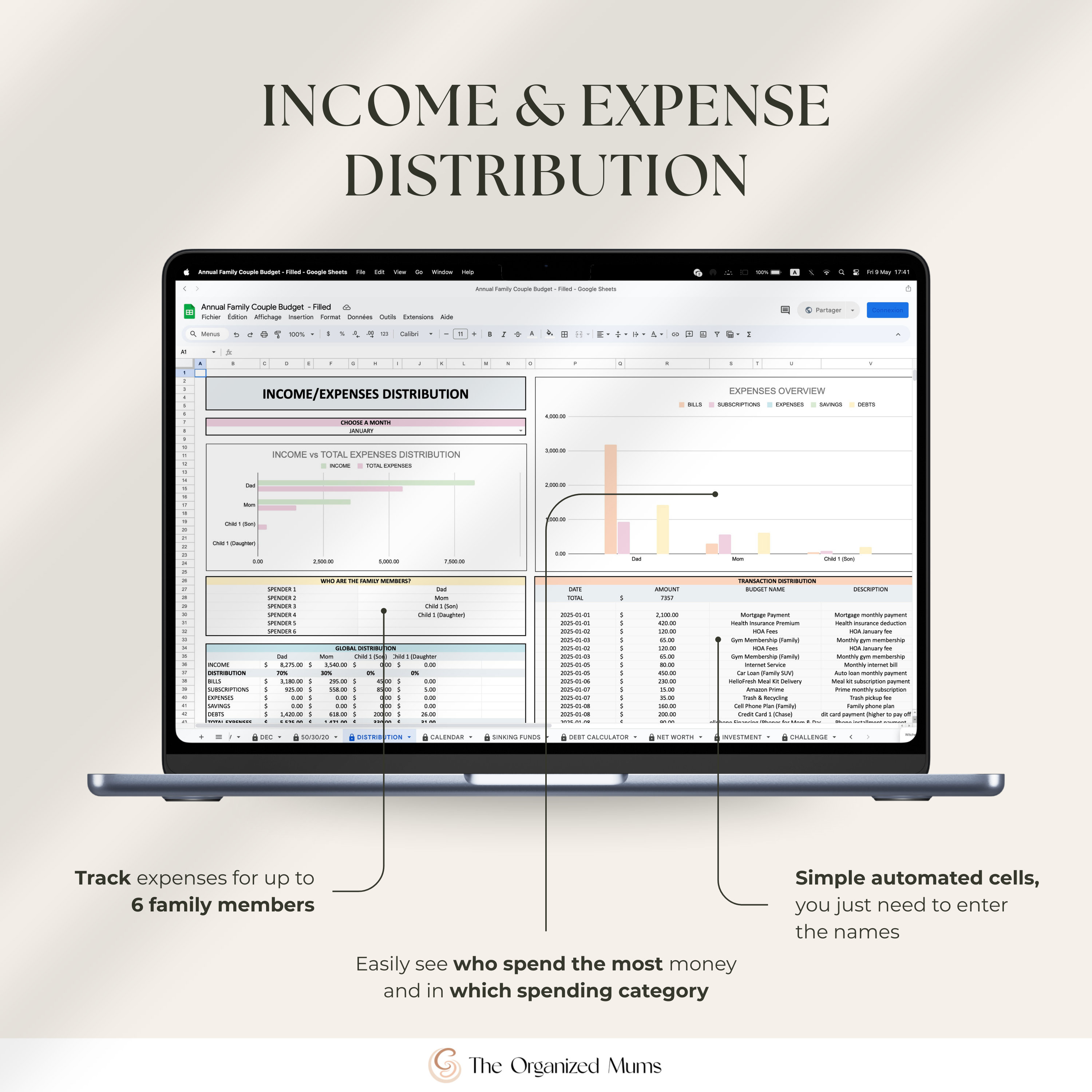 Annual Family Couple budget